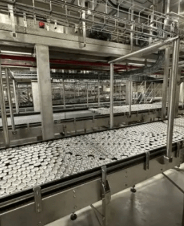 Production Line Performance Audits